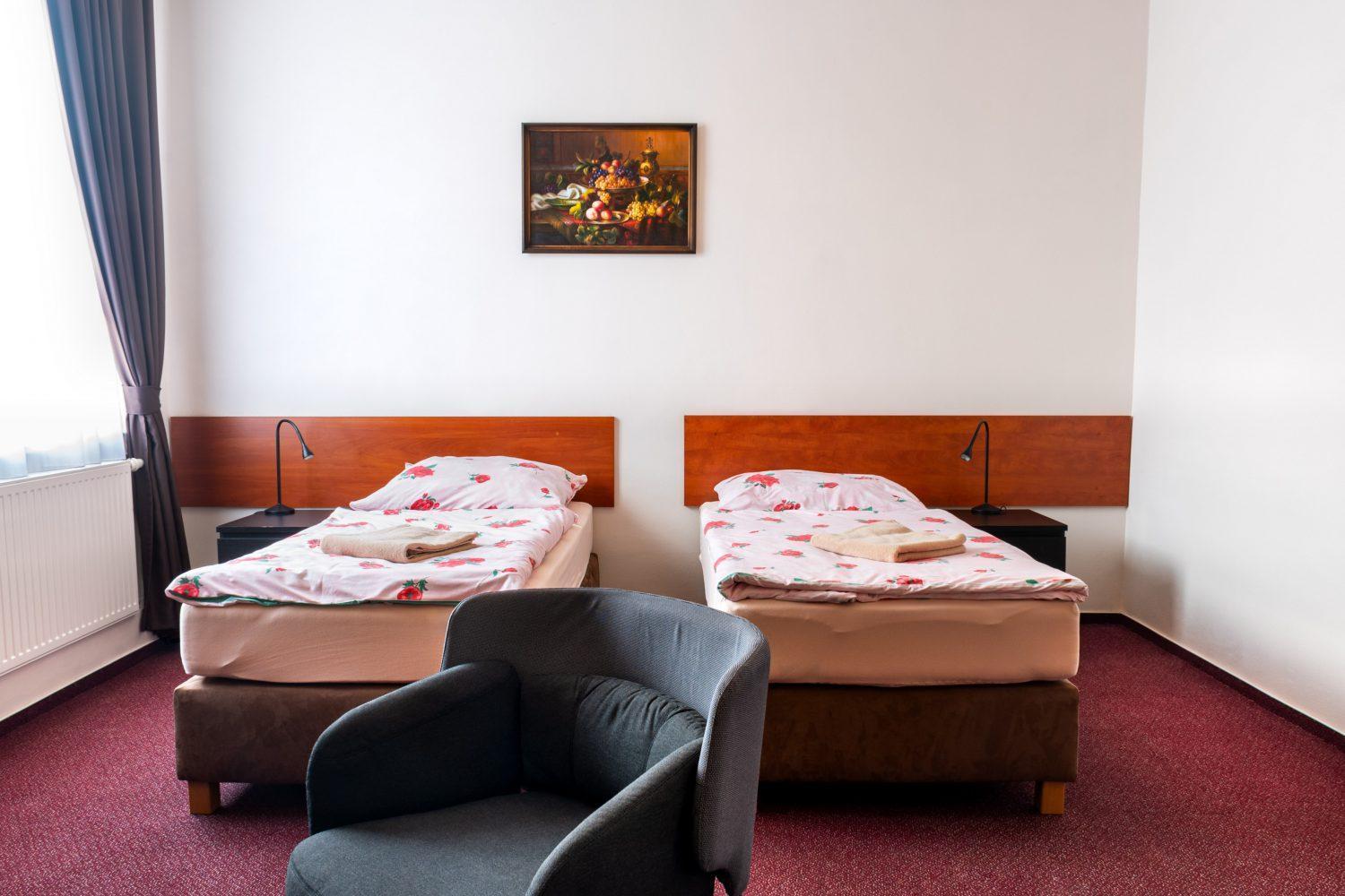 Hotel Alfa Trebic Exterior photo